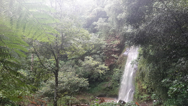 Air Terjun Umbul Songo Salatiga: Pesona Alam Tersembunyi